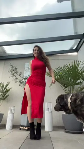 IG: jaki_bama  Schönen Abend 🥰 #fyp #dance #fashion #dog 