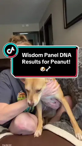We got Peanut’s @Wisdom Panel DNA test back! I would have never guessed these breeds! Maybe her breed isn’t actually in the testing database and these are the most similar?  @Embark Dog DNA Test if you have any coupons or sales coming let me know! I need a second opinion! #dogbreed #mixedbreeddog #dogdnatest #dnatestresult #wisdompanel #guessthebreed 
