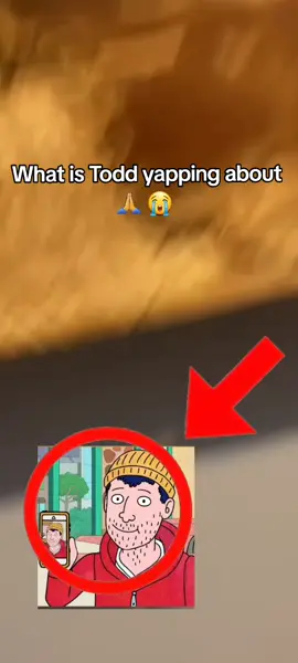 Average Todd plot 🙏😭  #bojackhorseman #toddchavez 