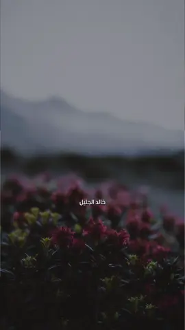 يرفع الله الذين امنوا منكم والذين اوتوا العلم درجات #سورة_المجادلة #خالد_الجليل #surahmujadilah 