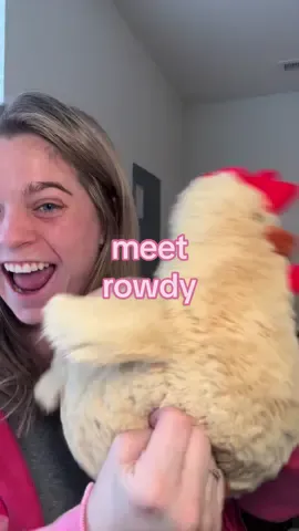 Kept seeing these all over tiktok, so meet Rowdy The Rooster! Isn’t he is the cutest 🥹 My fiancé recently got a promotion and this was the perfect little gift for him, thank you @SendAFriend ✨!!   #nanoinfluencer #gifts #sendafriend 