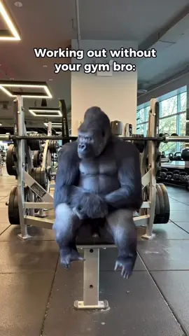 How it feels working out without your gym bro 😭 Tag them in the comments #GymBros #WorkoutAlone #MissingMyBro #SoloSession #NoSpotter #FitnessFeels #LiftSolo #GymMotivation #WorkoutBlues #GymLife #FitnessJourney #SoloStrength #gymmotivation #gymhumor #fyp #viral 