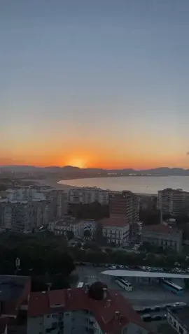 #ufo361 #nfd2 #shbzt