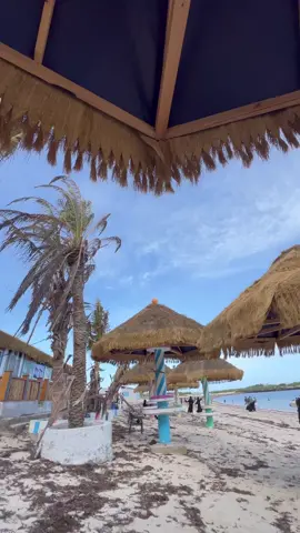 beautiful beach at nimoowbeach🇸🇴✌🏾#somalitiktok #beach #somalitiktok12 #nimoowbeach #somalia #beachlife #beautifulbeach #beautifulview #fyp #capcut #trending #somali #foryou 
