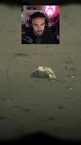 ILLOJUAN OBSERVA A UNA RANA EN RDR2😂🐸 #illojuan #illojuaner #españa #illojuanclips #twitch 
