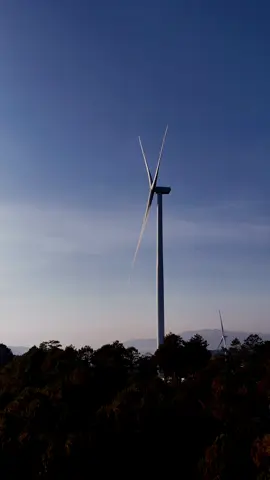 Cánh đồng quạt gió Cầu Đất - Đà Lạt#flycamvietnam #dalat #caudat #canhdongquat 