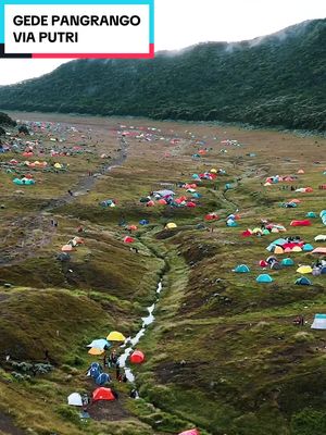 Selamat datang di campsite terindah pendakian gunung Jawa Barat #gedepangrango pendakian Via Putri Campsite yang penuh dengan bunga abadi sepanjang masa Bunga Edelweiss di #suryakencanagununggede  . . #gununggede #canrosimarmata #djiair3 