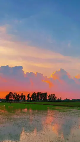 Hoàng hôn ở quê ta #xuhuong 
