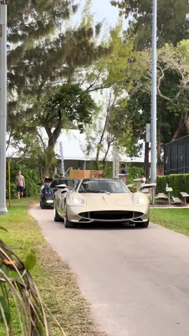 The fact i ignored a tricolore shows how crazy this show was #fyp #foryoupage #cars #carsoftiktok #carspotting #viral #stebocars 