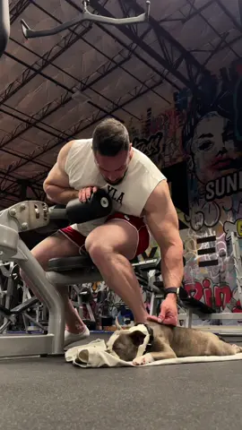 What more does a man need? #gym #workout #Fitness #bodybuilding 