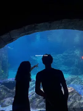💙 #aquarium#aquariumdate#date#dates#couple#couplegoals#Love#pinterest#pinterestaesthetic#Relationship#coupleaesthetic 