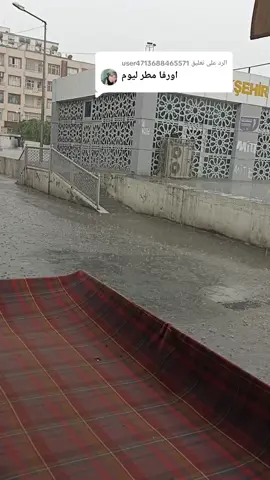 الرد على @user4713688465571 #اورفا_الوطن💚 