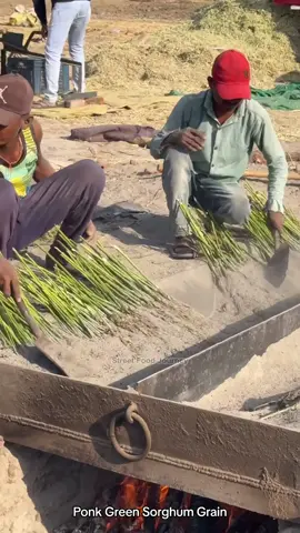 How Gujarat Farmers Process Ponk Green Sorghum Grain #ponk #india #tiktokfood 
