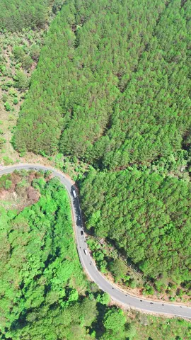 Đèo Tà Nung #dalat #dvxetudalat 