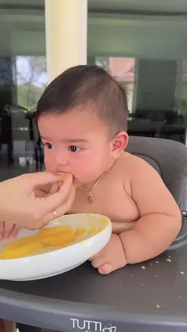 ต้าวอ้วนกับมะม่วงของเค้า🥰 #6M12D #12.5kg.