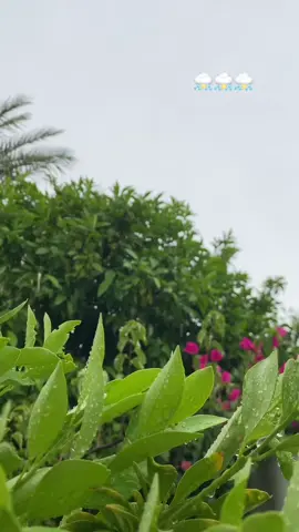 مطررررر واجواء تجننن⛈️⛈️⛈️🫀🫂🤍 
