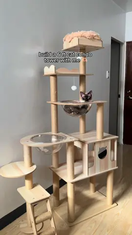i got my cat a new 6ft wooden cat condo tower 🤭 #catcondo #cattower #cattree #cathouse #catapartment #siamese #catsoftiktok #fyp 