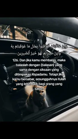 #xyzbca #fyp #4u #foryourpage 