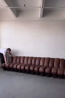 DS-600 Snake sofa designed in 1972 by Ueli Berger, Eleonora Peduzzi Riva, Hans Ullrich & Klaus Vogt for De Sede 🐍🤍 via @themillievintage 