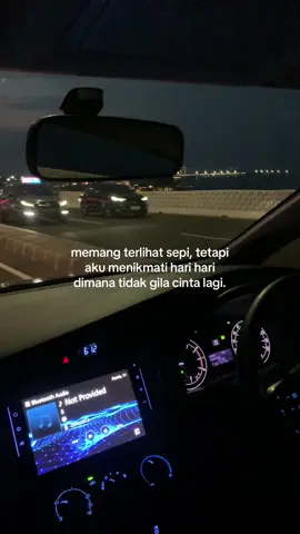 biarkan seperti ini, sampai rasa ini menghilang sendiri.