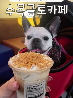 강남에서 댕댕이와 힙하게 커피 한 잔 하는 법? #수목금토카페 에서 #논현솔티드라떼 랑 잠봉뵈르, 케이크 먹으면 완벽한 모닝커피 & 브런치가 가능하다구! 아침 9시 일찍 열어서 아침 산책 때 들릴 수 있어서 너무 죻아~ 바로 옆이 학동공원에 신사역 논현역 다 가까우니 주말 산책&나들이 장소로 강추! 📌수목금토 카페 📍서울 강남구 강남대로136길 63 1층 ⏰영업시간: 09:00~19:00 🚘주차: 매장 근처 유료주차장 포장, 배달, 반려동물 동반 #학동카페 #강남반려견동반 #애견동반카페 #반려견동반카페 #학동애견동반 #논현카페 #강남카페추천 #강남애견동반 