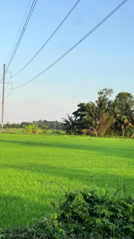 Quay có xíu không cho thôi làm dì chạy dữ vậy 🤯 #siriusđộkiểng #sirius64 #siriusblack #y11zr #xedovietnam #64_vinhlong #Mangthit #malaysia #nvqs #y15zr #csgt #mientay #vietnam #viral #trending #xuhuongtiktok #xuhuong 