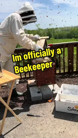 Im a BLACK man that’s proud to officially call myself a Beekeeper! #simplyblackhoney #simplyfoodbyty #beekeeper #savethebees 