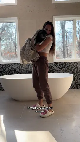 Here is your sign to put the towel in the dryer!!! ##fyp##dogsoftiktokviral##frenchiesofinstagram##frenchbulldogsoftiktok##frenchiesoftiktok##frenchie##frenchielife@@Onsen