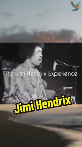 #jimihendrix #thejimihendrixexperience #rock #jimihendrixexperience #hendrix #areyouexperienced #rocknroll #psychedelicrock #bluesrock #music #guitar #blues #rockandroll #vinylcollection #guitarist #jimi #heyjoe #vinyl #classicrock #stevierayvaughan #woodstock