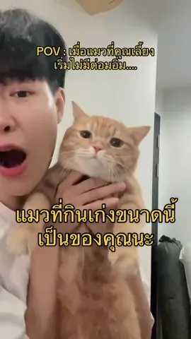 ผมมีให้ยืม เช่าไปก็ได้ #ทาสแมวก็งี้เเหละ #แมวส้ม #มัชกิ้นขาสั้น #ทีมมีแฟนเป็นผู้หญิงแต่โตครมีความสุข #คนไทยเป็นตลก 