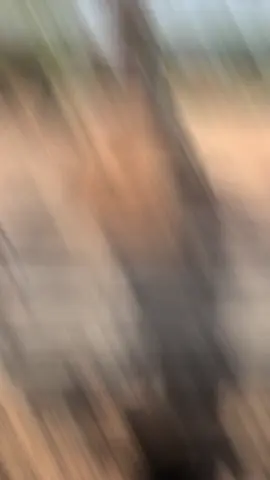 #สนใจเช่าแมคโครติดต่อได้นะครับ✌️✌️ ทีมงานสมันการโยธารับเหมาทุกงาน 