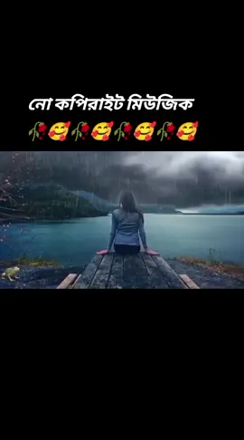 নো কপিরাইট মিউজিক #viral #মিজিক #Tik #Tok #video 