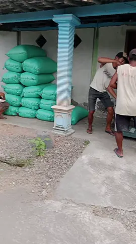 #Gabah Lengkong Nganjuk