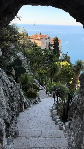 📍 Le Jardin Exotique, Eze #eze #ezevillage #thingstodoineze #southoffrance #nicefrance #thingstodosouthoffrance #nicedaytrips #france #summerinthesouthoffrance #beautifulplaces #fyp #fypage #explore 