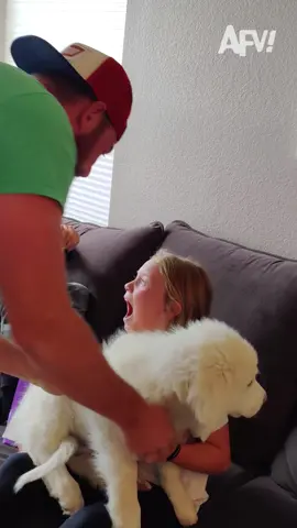 PUPPY SURPRISE 🥰 #afv