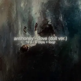 antihoney – dove (doll ver.) | #audios #edits #presplit #fyp #editaudio #ironyfilms #presplitaudios #antihoney 