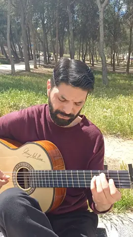 #parati #guitarraflamenca #interestellar #metallica #guitarra 