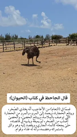 #الجاحظ #التراث_العربي #النعام  #الحيوان 