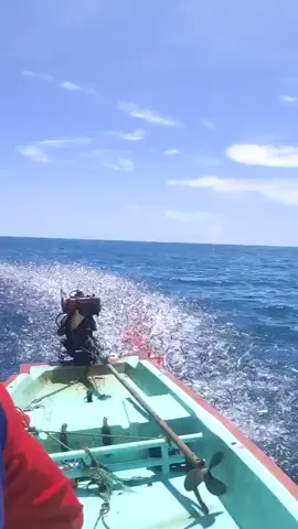 What!!!It's unbelievable.Tons of fish in open sea just jumping on the boat.#fishinglife #seafishing