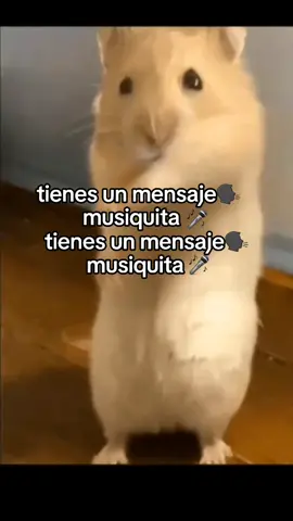 xd