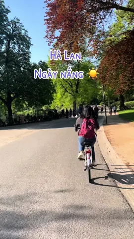 Nhân một ngày trời 24 độ người Hà Lan tranh thủ đi tắm nắng #thenetherlands🇳🇱 #netherlands #halan #dulich #khamphathegioi #duhochalan #duhocsinh #nature 