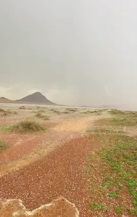 #اللّهم_صلِّ_وسلم_على_نبينا_محمد #اكسلبور_فولو_لايك #اكسبلورexplore #وسيطاء_الحفن #امطار_الخير #ربيع #سيول #حائل #آيات_عطرة #اكسلبور_فولو_لايك 