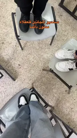 صاحبو المجانين فلعقلاء مملون دائما 😂😂😂🔋 #اكسبلور #explore #foryoupage❤️❤️ #فوريو #pov #مجانين #fyppppppppppppppppppppppp #fypシ゚viral #viralvideo #tik_tok #الشعب_الصيني_ماله_حل😂😂 #نابلسية #مدرسة 