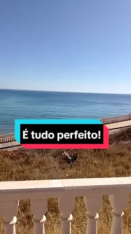 #dialindo #perfeito #viraliza #cotidiano #viralizatiktok#gratidao 