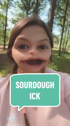 I do not say this lightly 😮‍💨 #sourdough #sourdoughbread #sourdoughstarter #baking #bread #homemade #food #homemaker #homestead