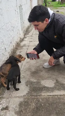 Hace mucho frío y está lloviendo quieren que le consigamos un hogar calentito?🙌❤️. Comenten como quieren que se llamen el comentario con mas like gana 😊. Alias para ayudar ; jorgeayudas 