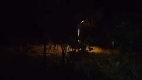 som da noite na roça...#passaros #foryou #roça #coruja #