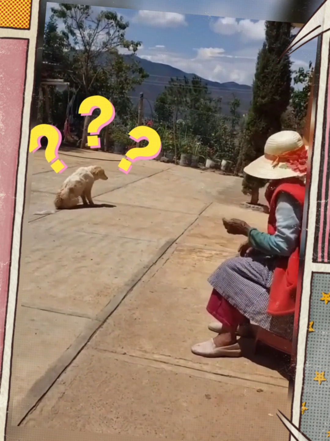 Animals Funny || Relax P196 . #funnyvideos😂#animals