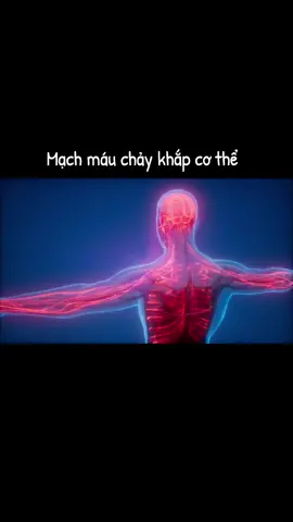 Máu chảy trong cơ thể mình đó m.n ạ 🥲🥰🥰 #xuhuong #LearnOnTikTok #mau #caythuochaybaithuocquy 