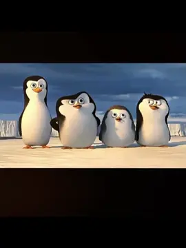 trend foto pinguin | versi 4#CapCut #capcuthq #fyp #trend #trendingvideo #xyzbca #bucin #trendtiktok #fypage #trendtiktok #fypシ #fypシ゚viral #fypage #trend #bestie #trendbarengbestie 